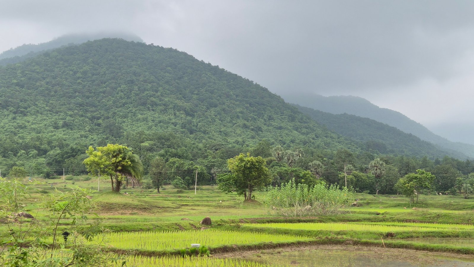 Debkund road view