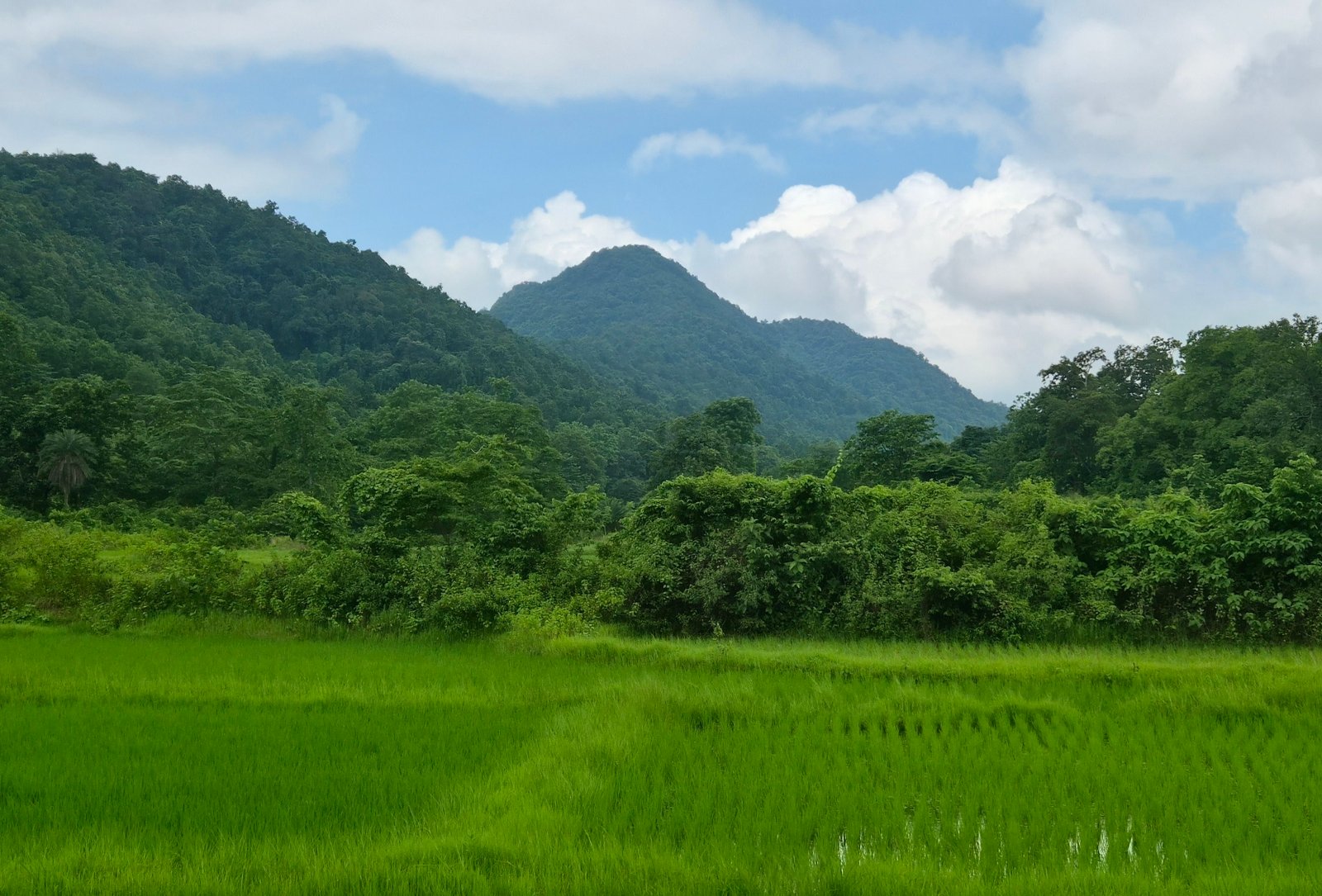 Kankrajhore IoE Jungal Trek by Surajit Barik
