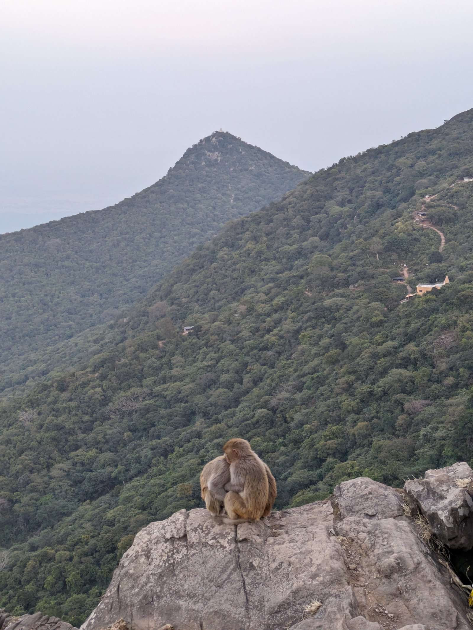arashnath hill jharkhand . surajitbarik.com