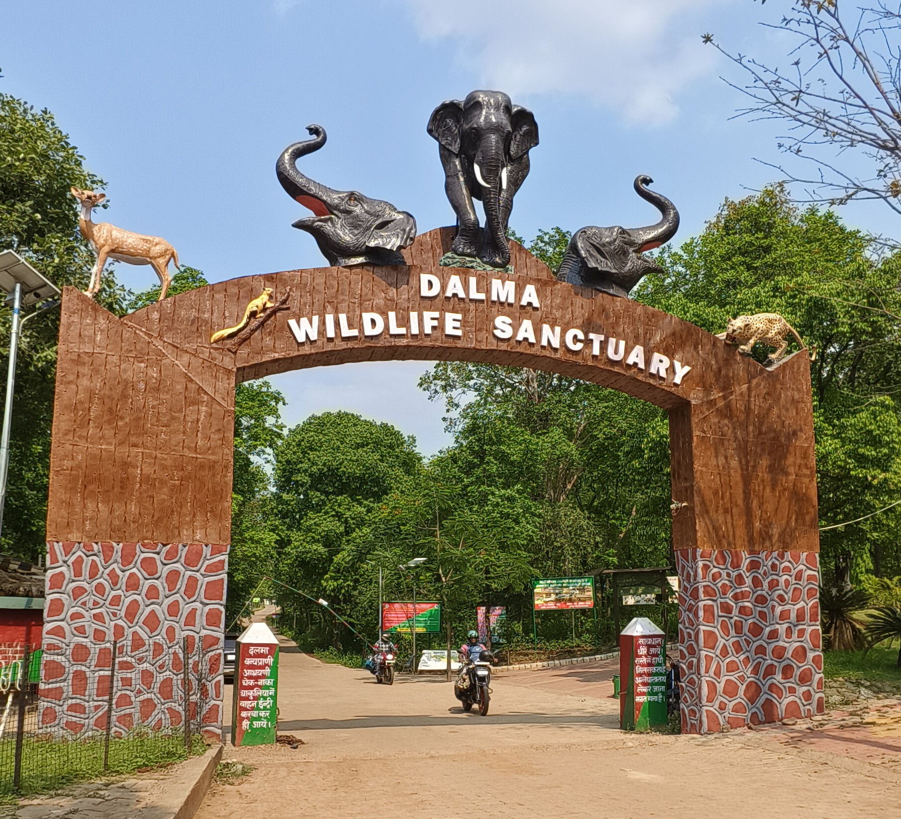Dalma Wildlife Sanctuary, JHARKHAND 